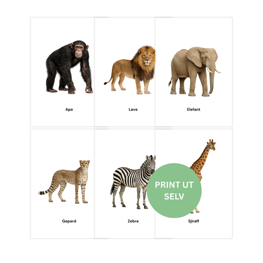 Dyrene på savannen – 8 flashcards
