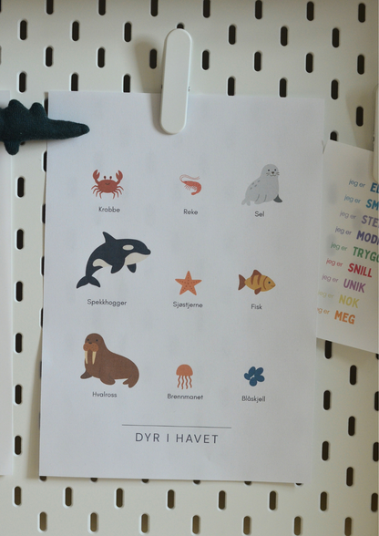 Dyr i havet - Print ut selv