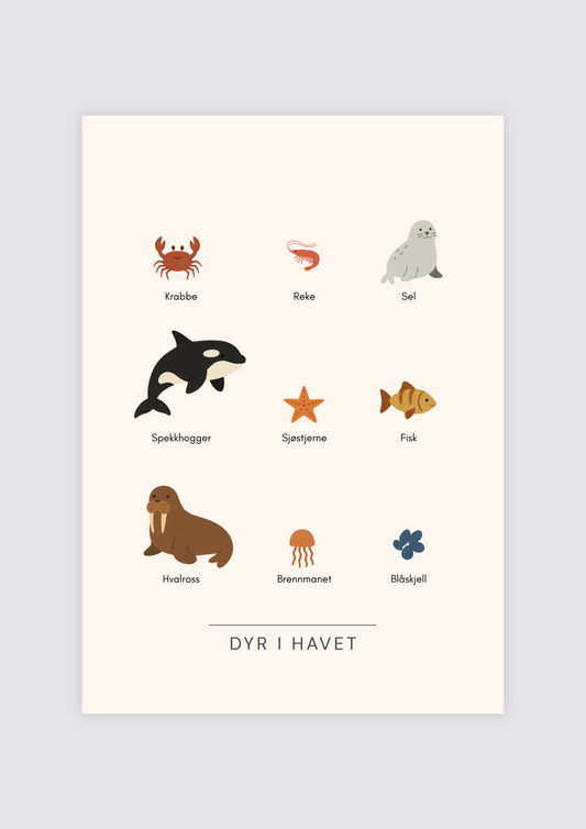 Dyr i havet